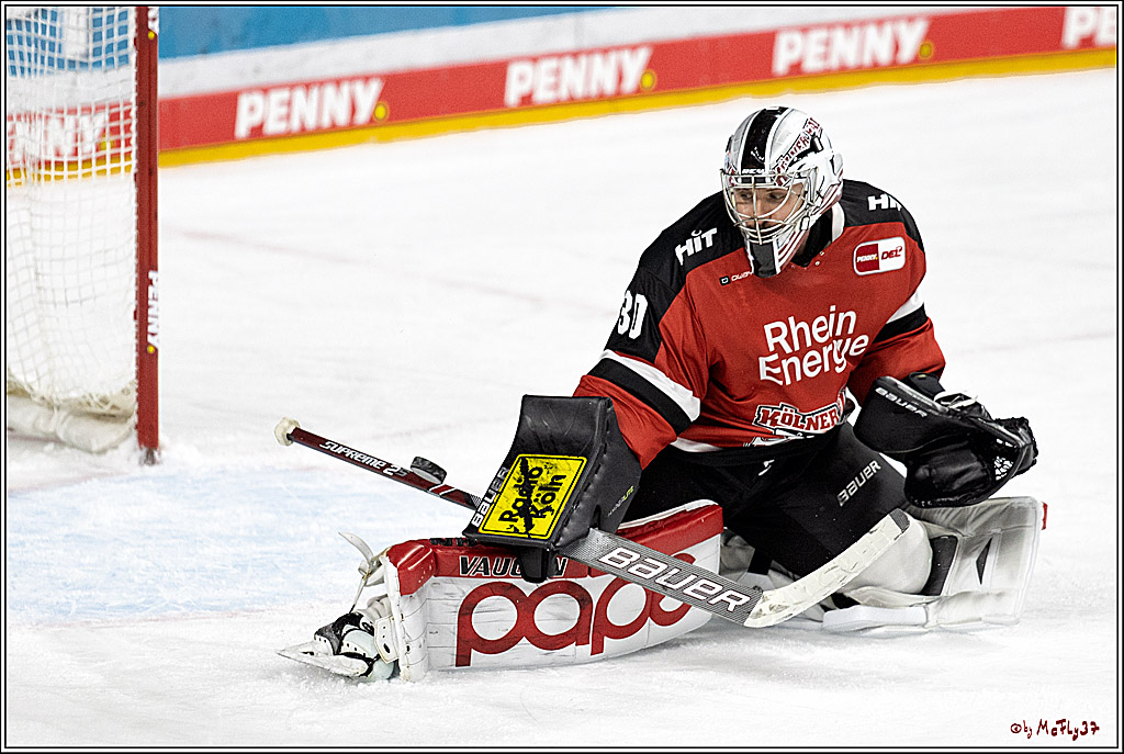PENNY DEL;  Koelner Haie - Nuernberg Ice Tiger; Koeln, 21.09.2021